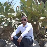  ,   Ali, 44 ,   ,   
