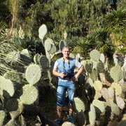 ���������� Muhlhausen, ���� ������� Aaa, 58 ���, ������������ ��� ������