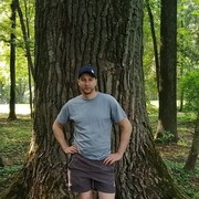  ,   , 38 ,   c 