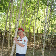  ,   , 55 ,     , c 