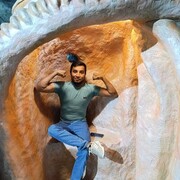 ���������� �����������, ���� ������� ����, 27 ���, ������������ ��� ������, ����� � ���������, c�������� ���������, ���������