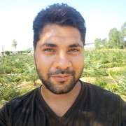  ,   Ahmed Hamed, 37 ,   ,   , c 