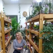 ���������� �����������, ���� ������� �������, 53 ����, ������������ 