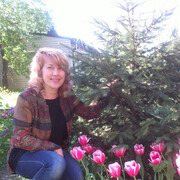 ���������� ����, ���� ������� �����, 46 ���, ������������ ��� c�������� ���������, ���������