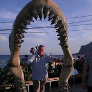 ���������� ������, ���� ������� �����, 68 ���, ������������ ��� ����� � ���������, c�������� ���������