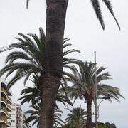 ���������� ������, ���� ������� Oxi, 42 ����, ������������ ��� ������, ����� � ���������, c�������� ���������