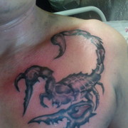 ���������� ������, ���� ������� ������, 41 ���, ������������ ��� ������, ����� � ���������, c�������� ���������