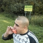 ���������� ������, ���� ������� ����, 40 ���, ������������ ��� ������, ����� � ���������, c�������� ���������