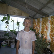  ,   , 29 ,   ,   , c 