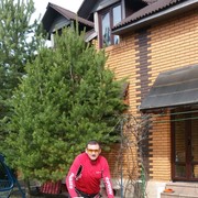  ,   , 62 ,   ,   , c 