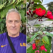  ,   Simon, 58 ,   ,   