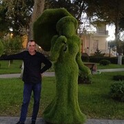  ,   , 41 ,   ,   
