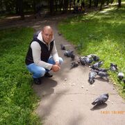 ���������� �����, ���� ������� ���������, 40 ���, ������������ ��� c�������� ���������