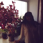 ���������� �����, ���� ������� ������, 59 ���, ������������ ��� ������, ����� � ���������