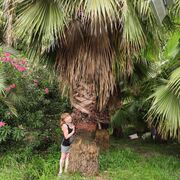 ���������� ��������, ���� ������� ������, 51 ���, ������������ ��� ������, ����� � ���������, c�������� ���������, ���������