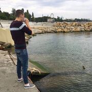 ���������� �������, ���� ������� ����, 29 ���, ������������ ��� ������, ����� � ���������