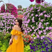 ���������� �����������, ���� ������� �������, 36 ���, ������������ ��� ������, ����� � ���������