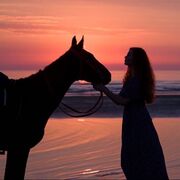 ���������� ������, ���� ������� ����, 32 ����, ������������ ��� ������, ����� � ���������, c�������� ���������