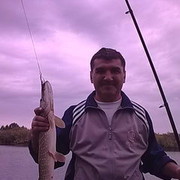  ,   , 55 ,     , c 