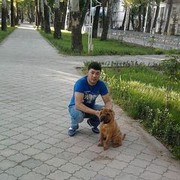  ,   , 38 ,   ,   , 