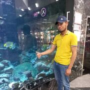 ���������� ���������, ���� ������� ����, 36 ���, ������������ ��� c�������� ���������