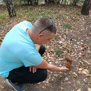 ���������� �������, ���� ������� ������, 36 ���, ������������ ��� ������, ����� � ���������