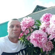  ,   , 46 ,   ,   