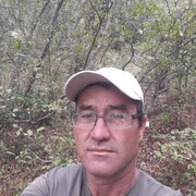 ���������� ������, ���� ������� �����, 44 ����, ������������ 