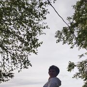  ,   , 44 ,   ,   