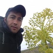  ,   , 43 ,   ,   , c 
