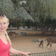 ���������� �������, ���� ������� �������, 64 ����, ������������ ��� ����� � ���������, c�������� ���������