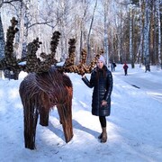 ���������� ������, ���� ������� ����, 39 ���, ������������ ��� ������, ����� � ���������, c�������� ���������