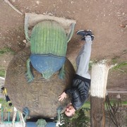 ���������� �������, ���� ������� ���, 36 ���, ������������ ��� ������, ����� � ���������, c�������� ���������