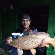  ,   , 43 ,   ,   , c 