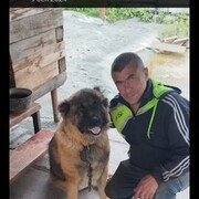  ,  vik, 53