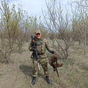  ,   Serega, 33 ,   ,   , c , 