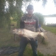 ���������� �������, ���� ������� ����, 37 ���, ������������ ��� ������, ����� � ���������, c�������� ���������