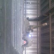 ���������� �����, ���� ������� ������, 31 ���, ������������ ��� c�������� ���������