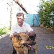  ,   , 58 ,   
