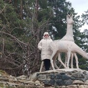 ���������� ����������, ���� ������� �����, 52 ����, ������������ ��� ����� � ���������, c�������� ���������, ���������