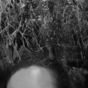  ,   Woman, 43 ,     , c 