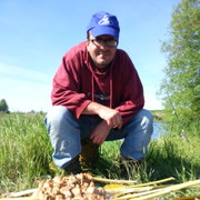 ���������� �������, ������� ����, 45