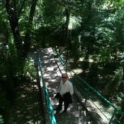  ,   Nodir, 43 ,     , c 