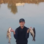 ���������� ��������, ���� ������� Obid, 41 ���, ������������ ��� ������, ����� � ���������, c�������� ���������