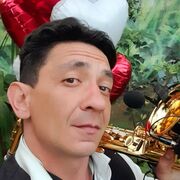 ���������� ����������, ���� ������� ��������, 40 ���, ������������ ��� ������, ����� � ���������, c�������� ���������