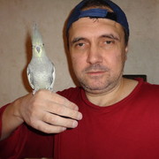  ,   , 52 ,   ,   , c 