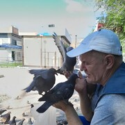 ���������� �������, ���� ������� ����, 50 ���, ������������ ��� ������, ����� � ���������, c�������� ���������, ���������