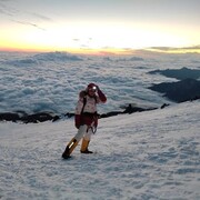 ���������� Ara, ���� ������� Olga, 34 ����, ������������ ��� ����� � ���������, c�������� ���������