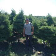 ���������� ����������, ���� ������� �������, 41 ���, ������������ ��� ����� � ���������, c�������� ���������