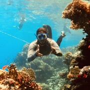 ���������� ������������, ���� ������� �����, 29 ���, ������������ ��� ������, ����� � ���������